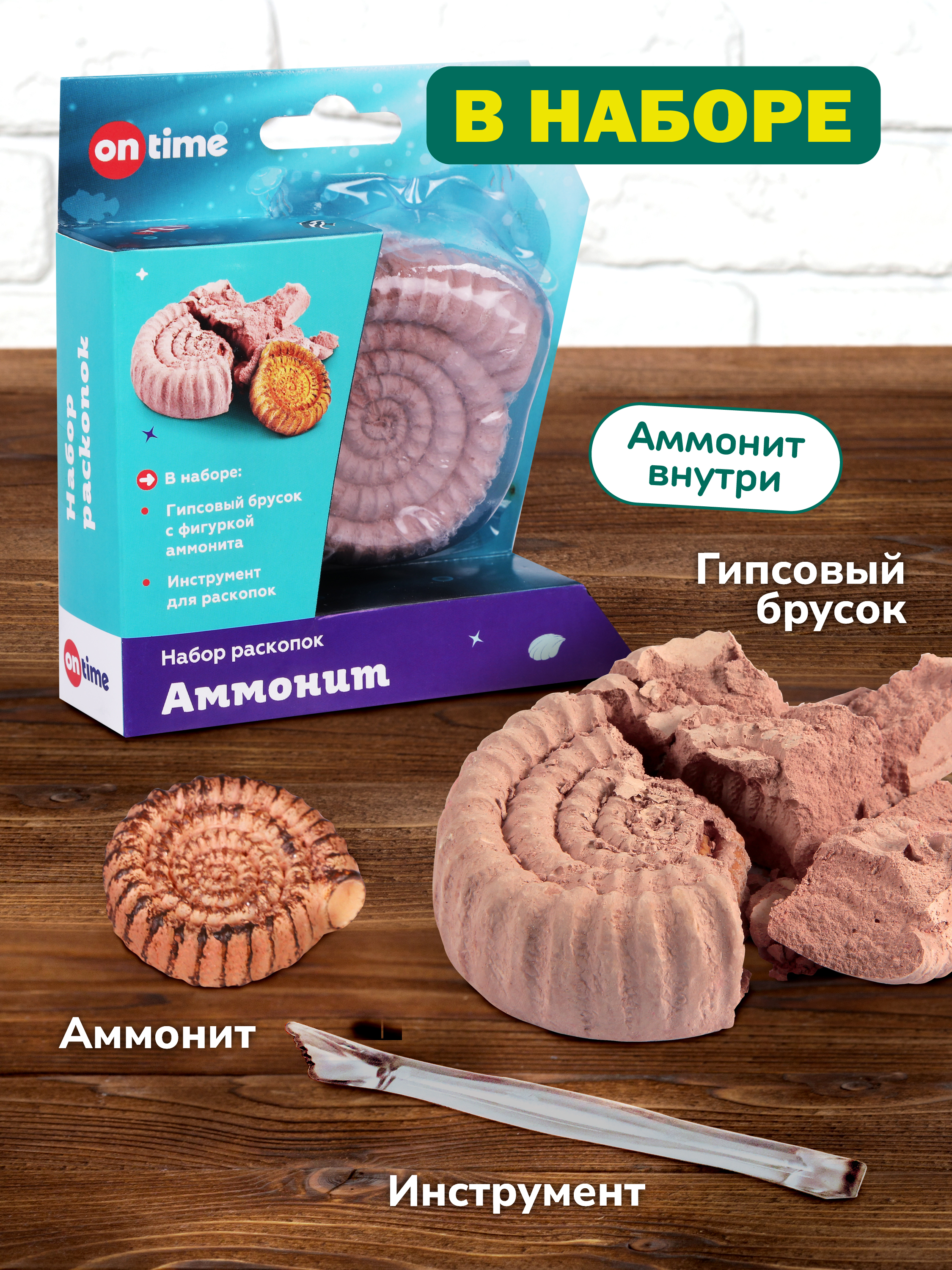 Набор для раскопок ON TIME - фото 4