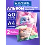 Альбом Brauberg А4 40 лист. 2 шт.