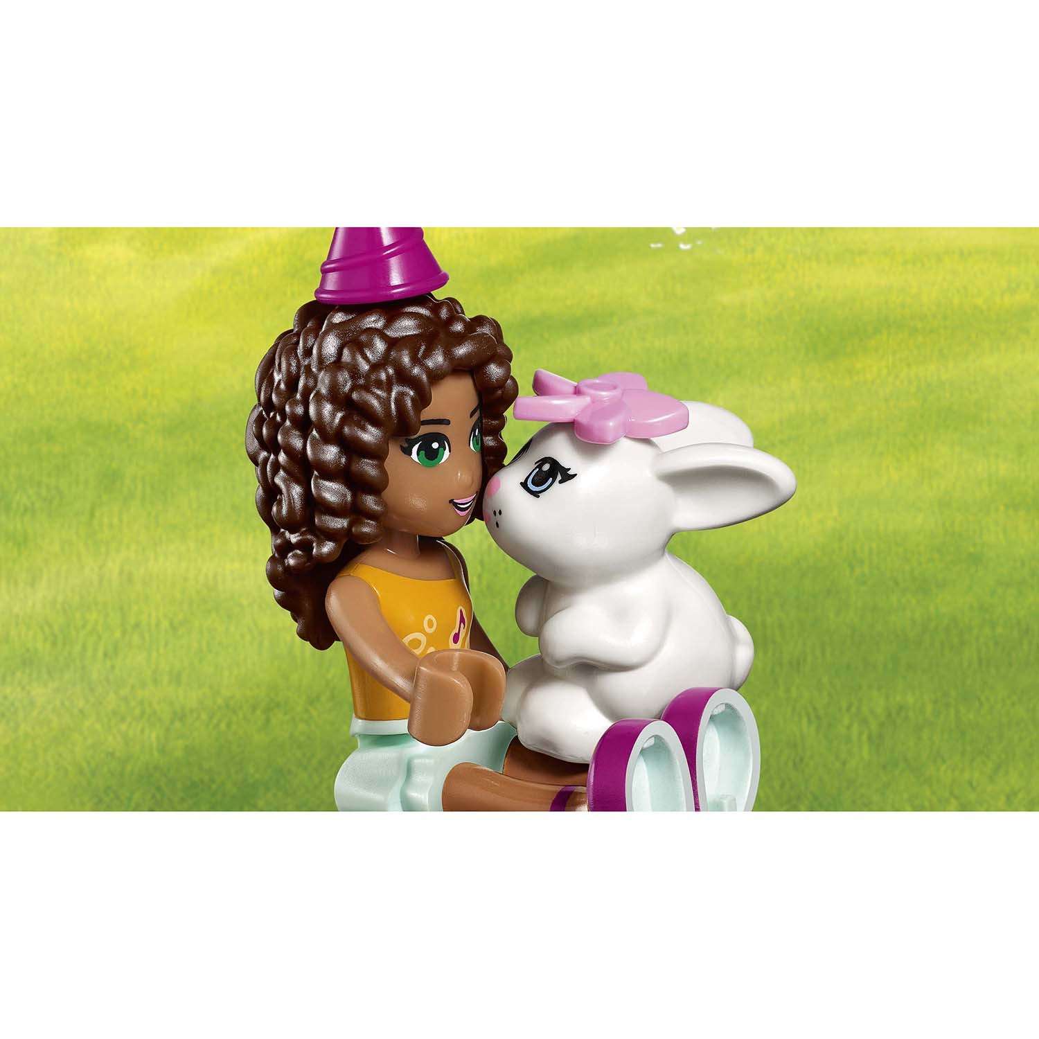 Конструктор LEGO Friends День рождения блочный - фото 10