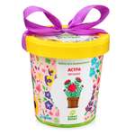 Набор для выращивания Happy Plant