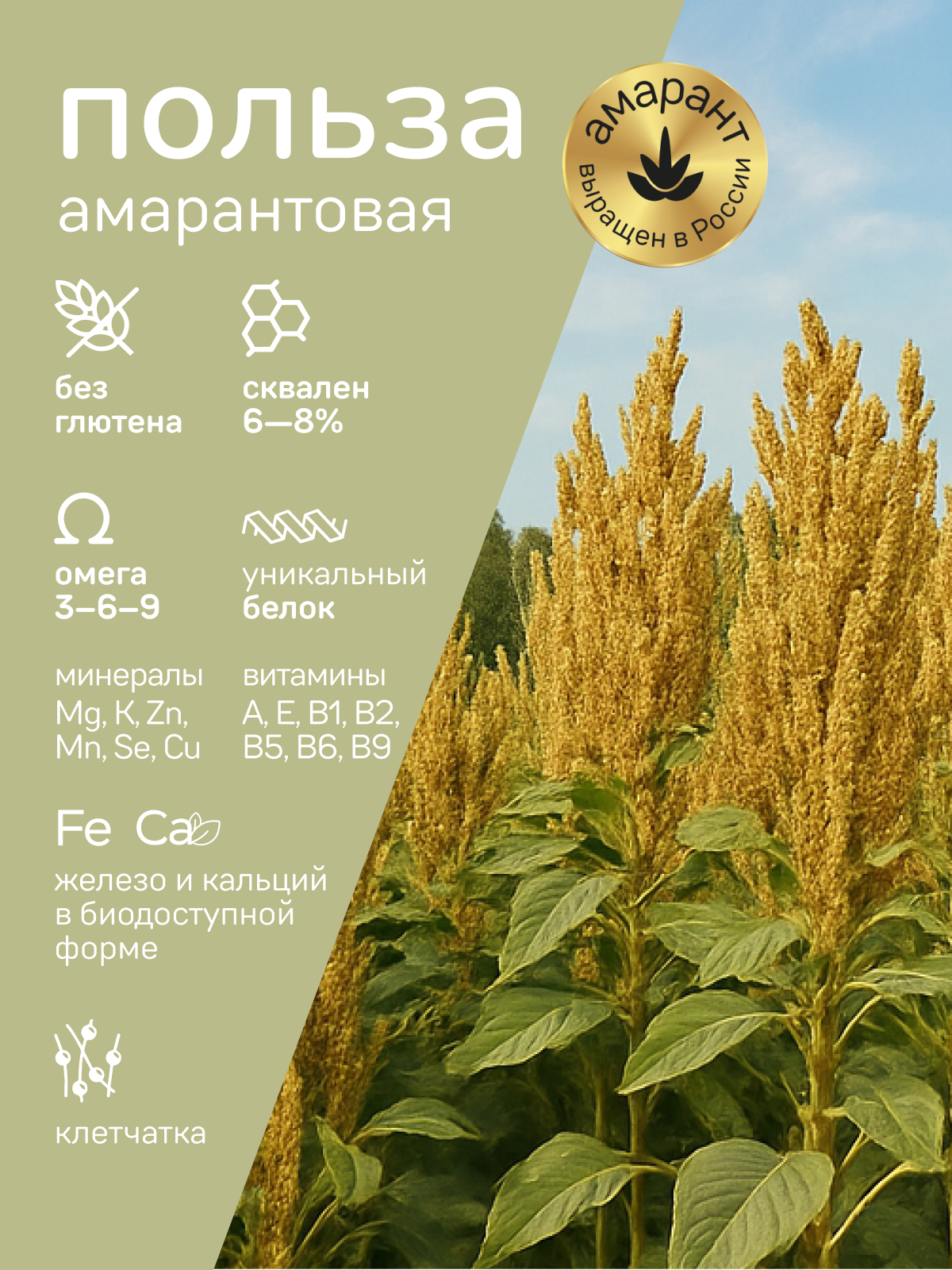 Хлебцы Amarancho рисово-амарантовые с прованскими травами - фото 3