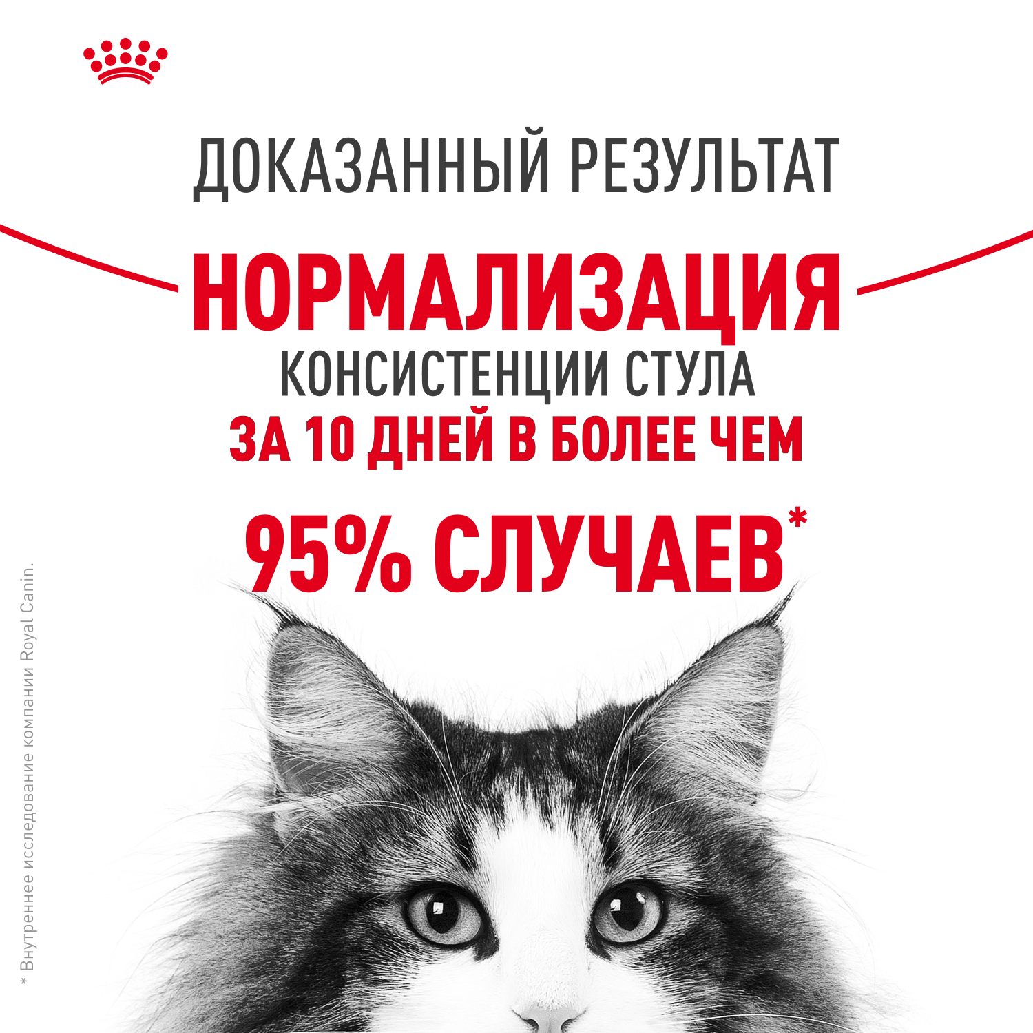 Корм сухой для кошек ROYAL CANIN 2кг Digestive care для поддержания здоровья пищеварительной системы - фото 5