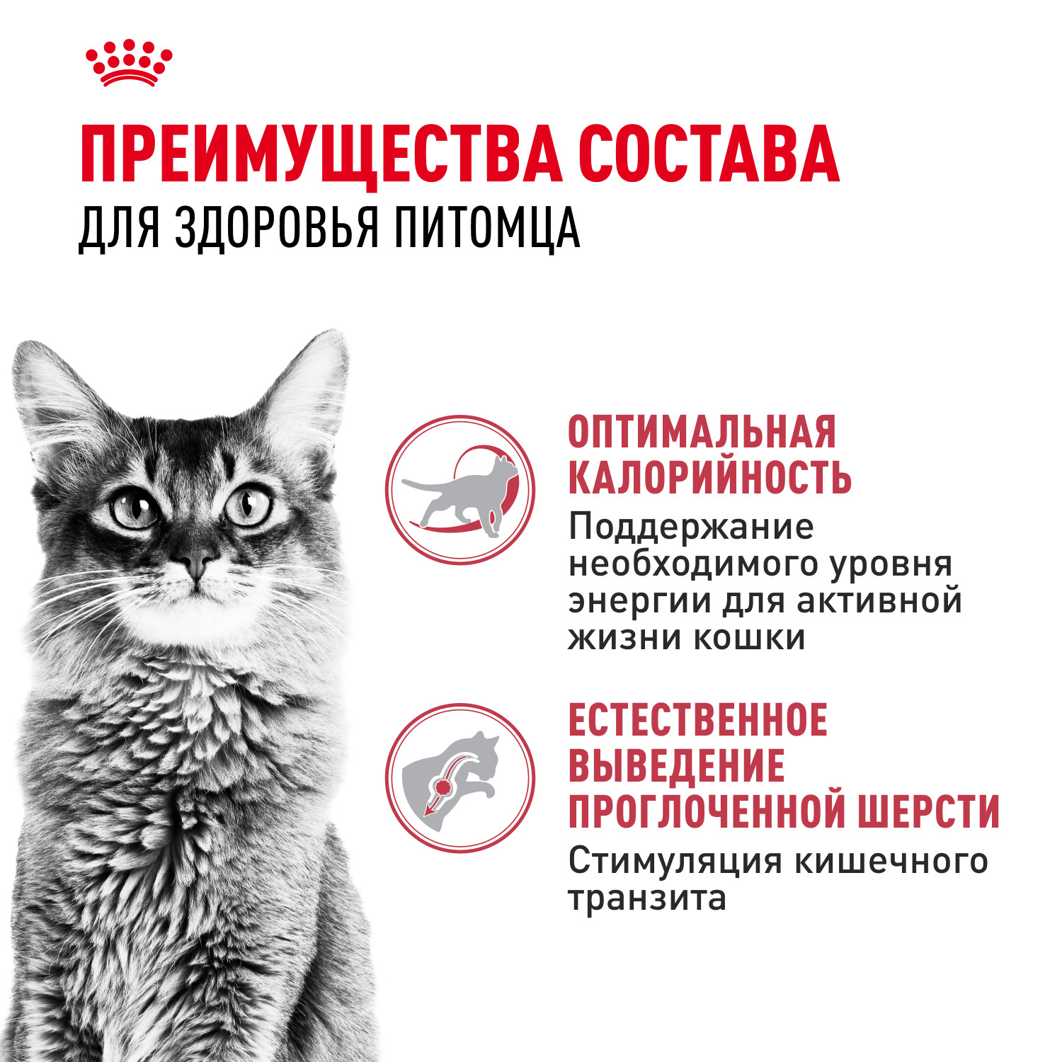 Корм сухой для кошек ROYAL CANIN Fit 32 15кг - фото 3