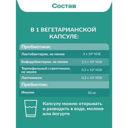 Комплекс пробиотиков Максимум Daily Guard Daily Guard PROBIOTICS
