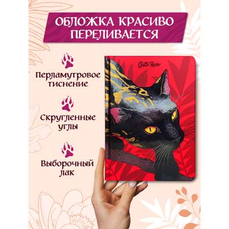 Блокнот Проф-Пресс в клетку А5. Чёрная кошка 128 лист.