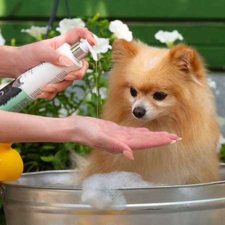 Шампунь для собак и кошек I Love My Pet антипаразитарный 255г