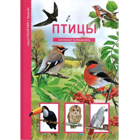Книга Лада Птицы. Школьный путеводитель