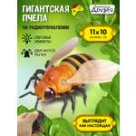 Насекомое РУ AUTODRIVE