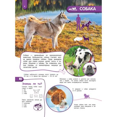 Книга Эксмо Удивительный мир животных Энциклопедия для детей