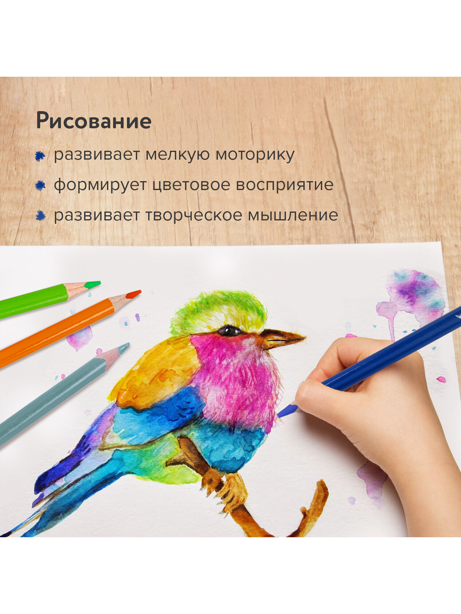 Карандаши акварельные Brauberg 12 шт. - фото 13