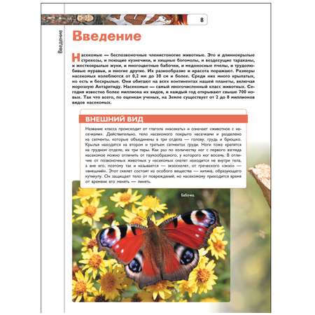 Энциклопедия АСТ Аванта Насекомые