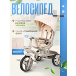 Трехколесный велосипед Farfello 10 дюймов