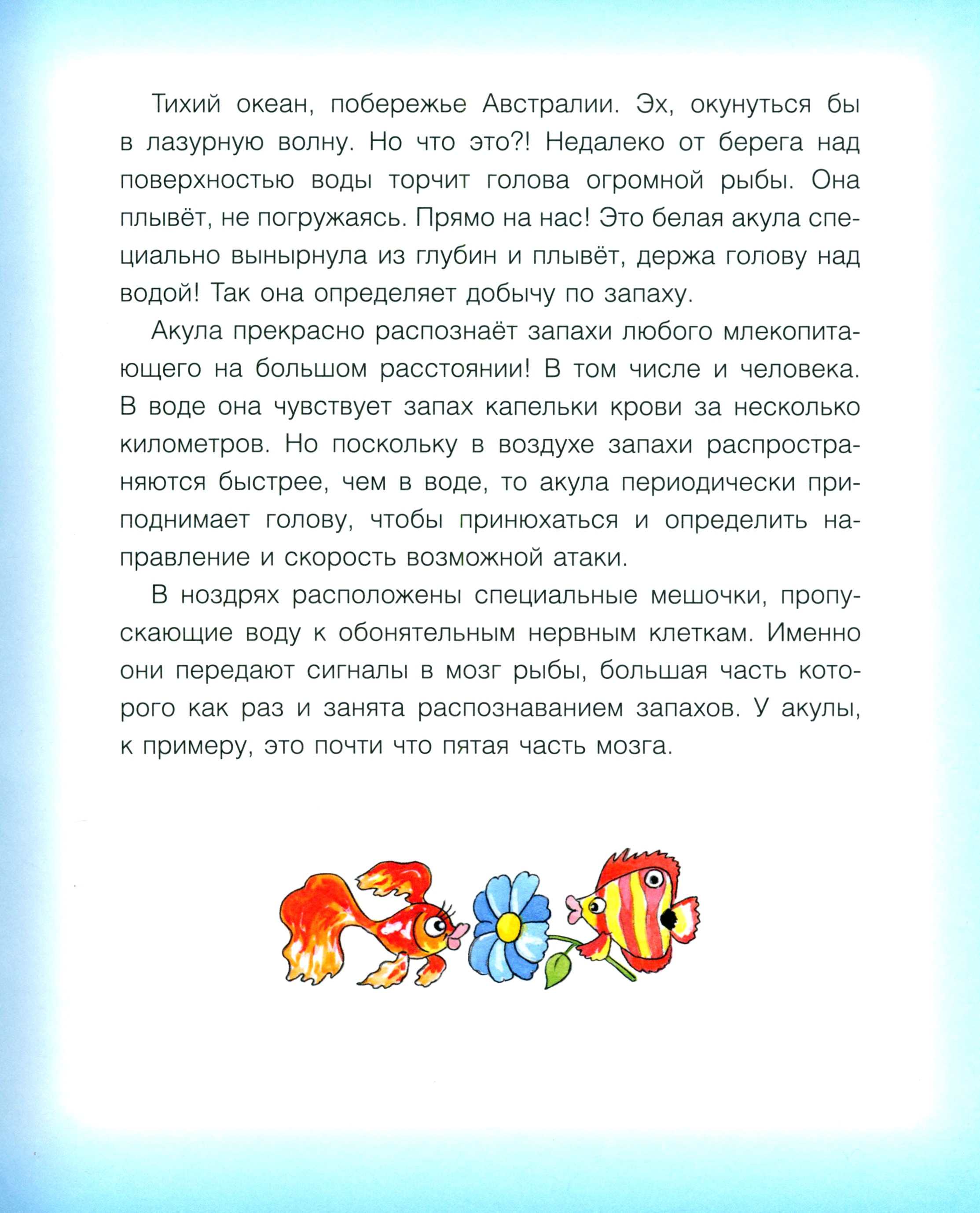 Книга Качели Где у птицы компас. Почемучкины вопросы - фото 3