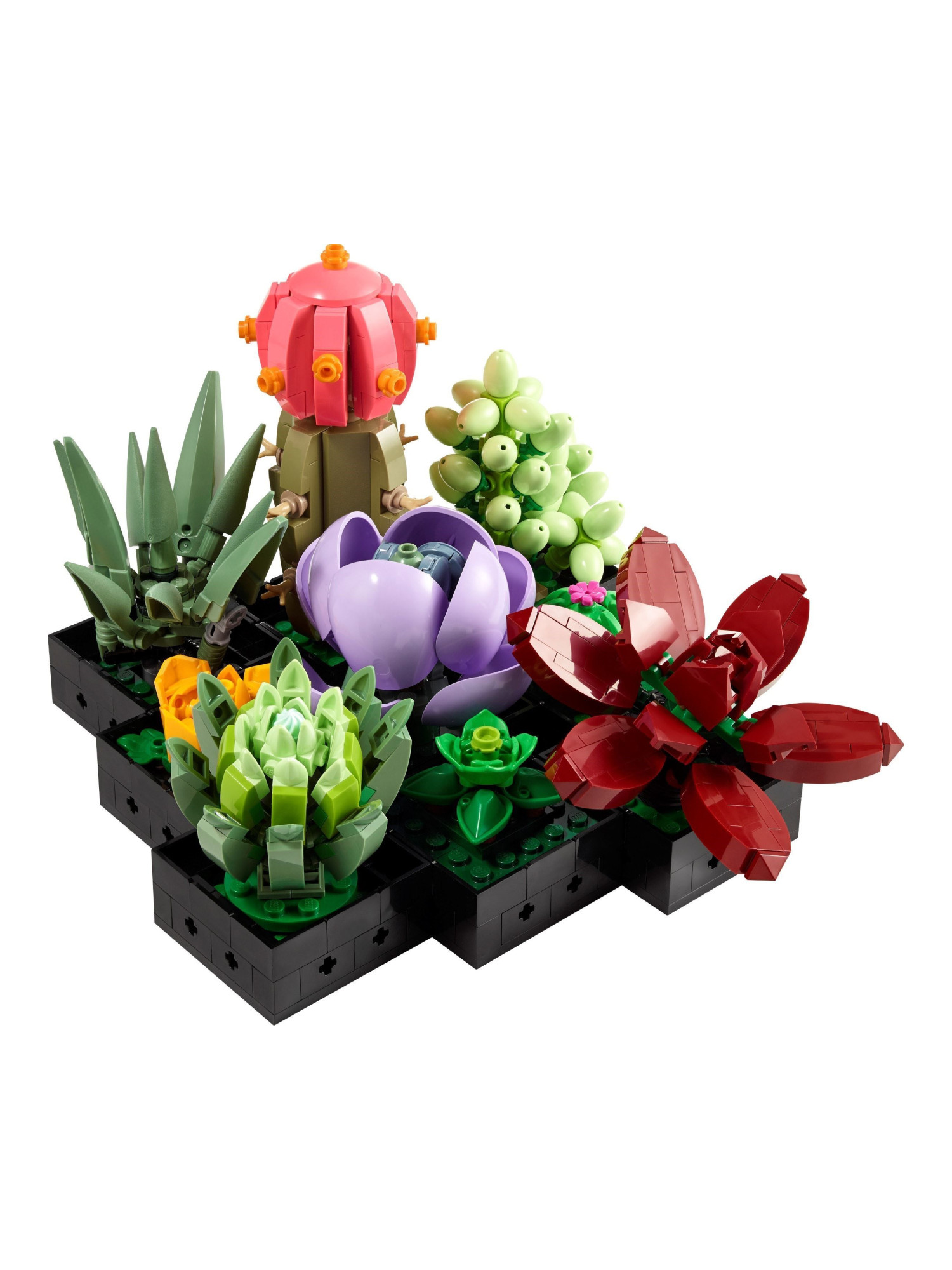 Конструктор LEGO Icons Суккуленты 771 дет. - фото 3