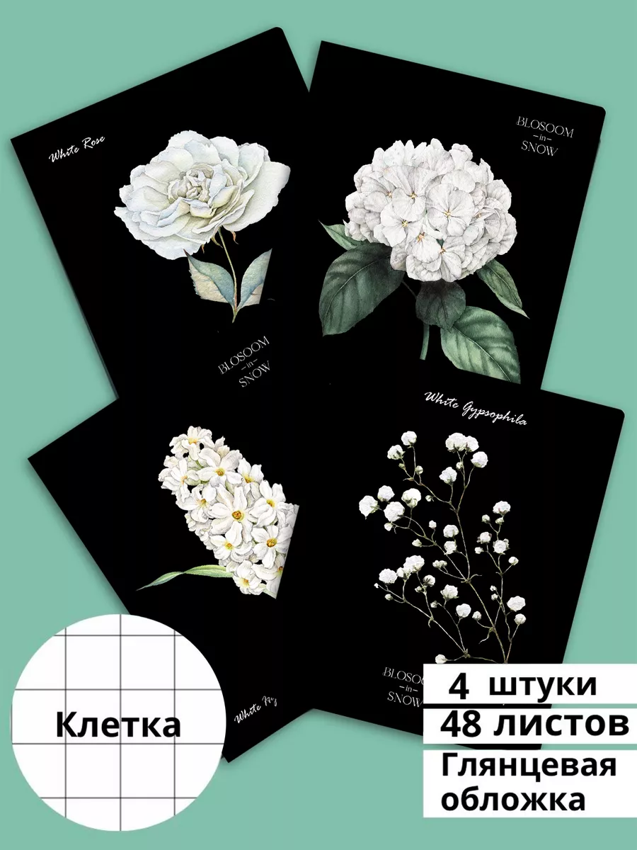 Тетрадь BG клетка 48 лист. 4 шт. - фото 1