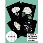 Тетрадь BG клетка 48 лист. 4 шт.