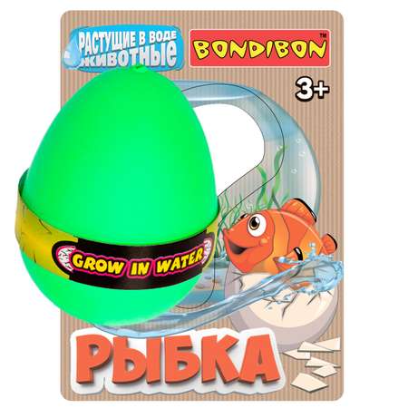 Набор для выращивания Bondibon