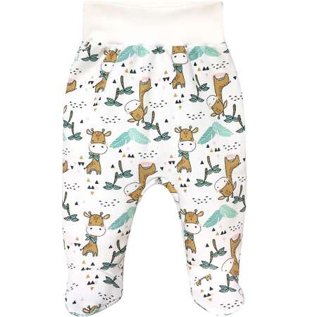 Комплект Nice Cat