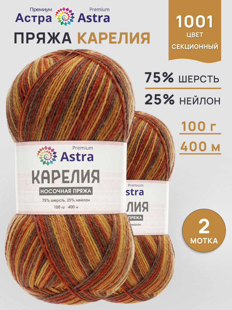 Пряжа для вязания Astra Premium карелия носочная шерсть нейлон 100 гр 400 м цвет 1001 2 мотка - фото 1