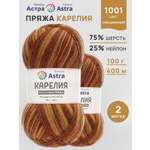 Пряжа для вязания Astra Premium карелия носочная шерсть нейлон 100 гр 400 м цвет 1001 2 мотка