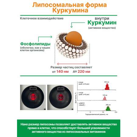 Концетраты пищевые Алтайские традиции Липосомальный куркумин Витамин кидс веган 60 капсул