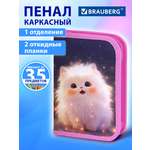 Пенал Brauberg