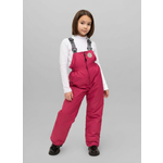 Полукомбинезон Arctic kids