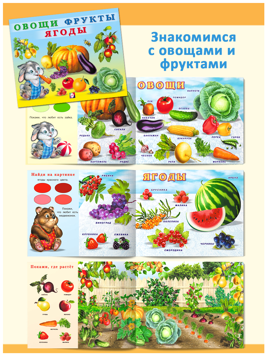Книги Фламинго Учим малыша: буквы цифры животные растения Первые знания для детей и малышей - фото 5