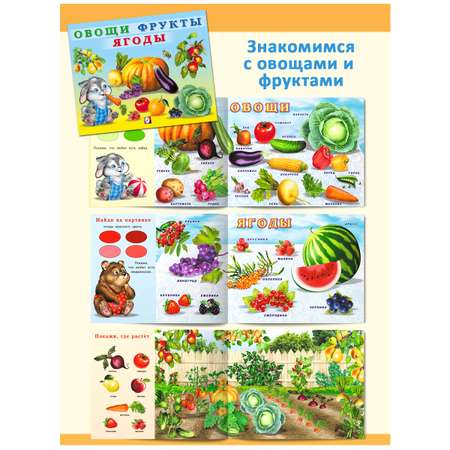 Книги Фламинго Учим малыша: буквы цифры животные растения Первые знания для детей и малышей