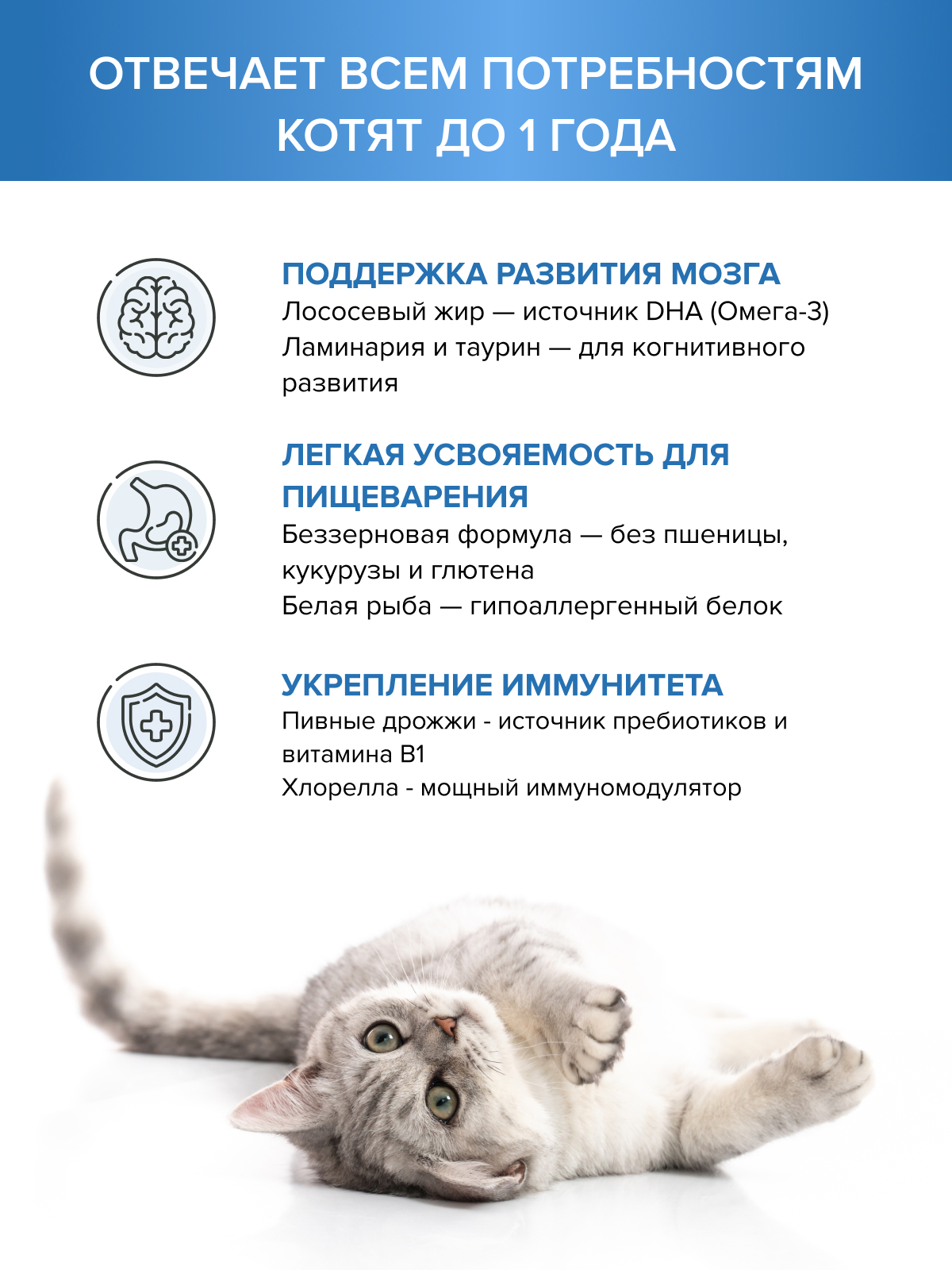 Корм для котят DOCTRINE сухой с лососем и белой рыбой 800 г - фото 2