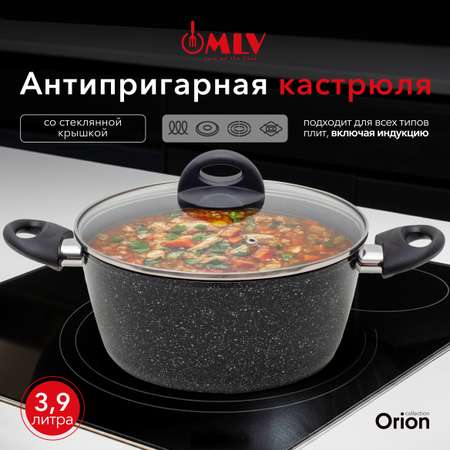 Кастрюля для индукционных плит с крышкой Moulin Villa Оrion 3,9 литра