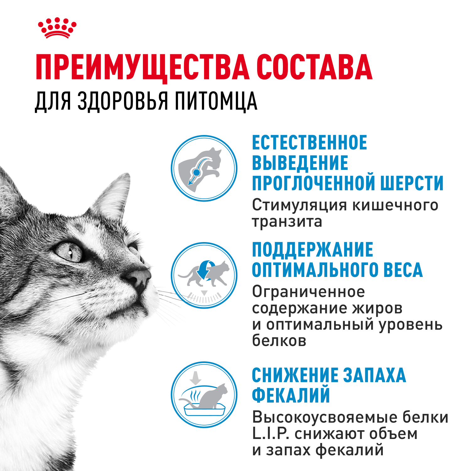 Корм для кошек ROYAL CANIN Indoor 27 взрослых живущих в помещении сухой 0.2кг - фото 3