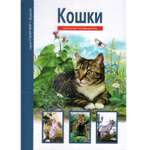 Книга Лада Кошки. Школьный путеводитель