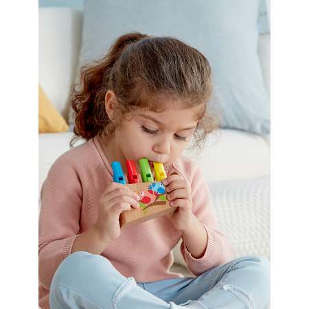 Игрушка музыкальная Hape Разноцветная флейта