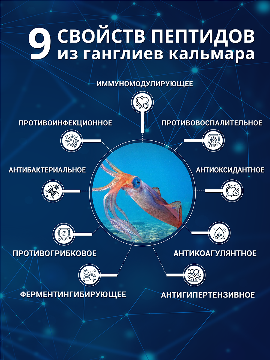 Морские пептиды Доктор Море / пептидный комплекс при простудных заболеваниях/ 30 капсул - фото 5