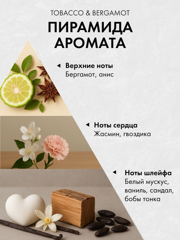 Диффузор с сухоцветами в Премиум тубусе Accents ⁠Tobacco & Bergamot - фото 2