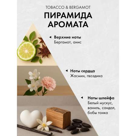 Диффузор с сухоцветами в Премиум тубусе Accents ⁠Tobacco & Bergamot