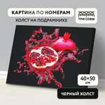 Картина по номерам ТРИ СОВЫ