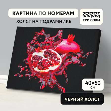 Картина по номерам ТРИ СОВЫ
