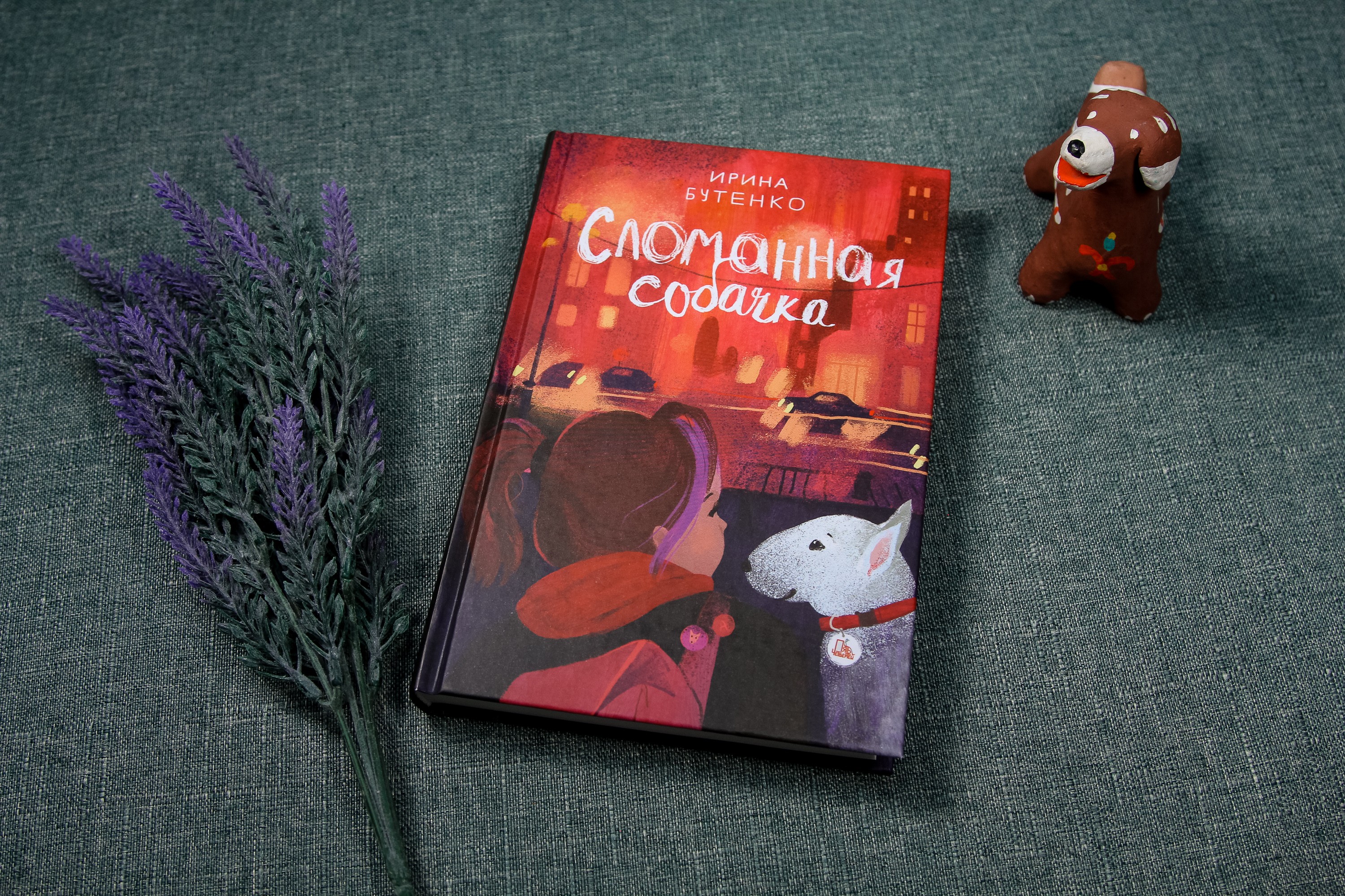 Книга Пять четвертей Сломанная собачка - фото 10