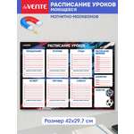 Расписание уроков магнитно-маркерное deVENTE Football Winner