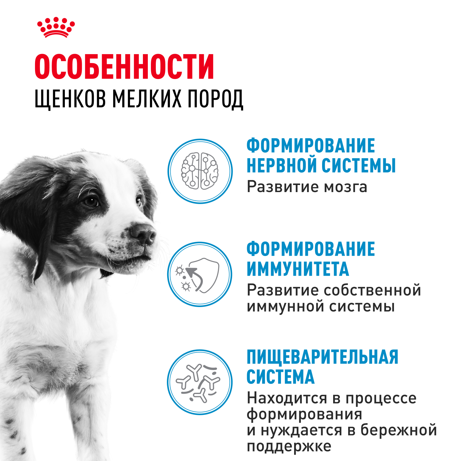 Корм для щенков влажный ROYAL CANIN Medium Puppy средних пород в возрасте до 12 месяцев соус 100 г - фото 2