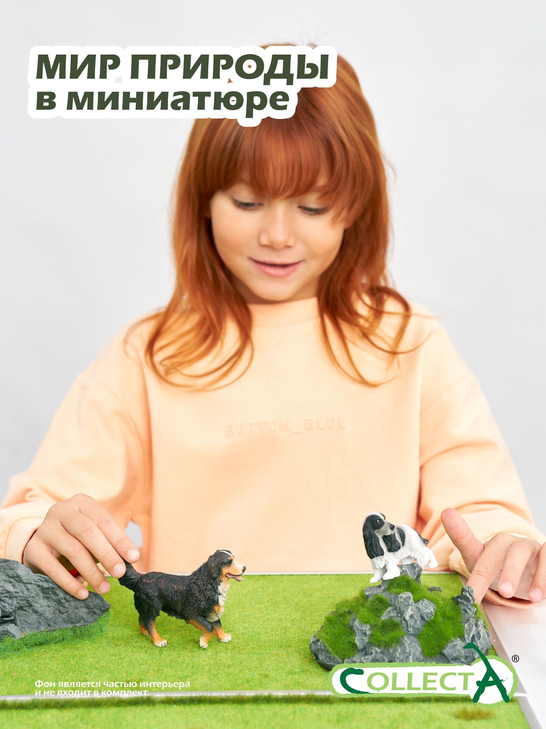 Фигурка Collecta Бернский зенненхунд - фото 7