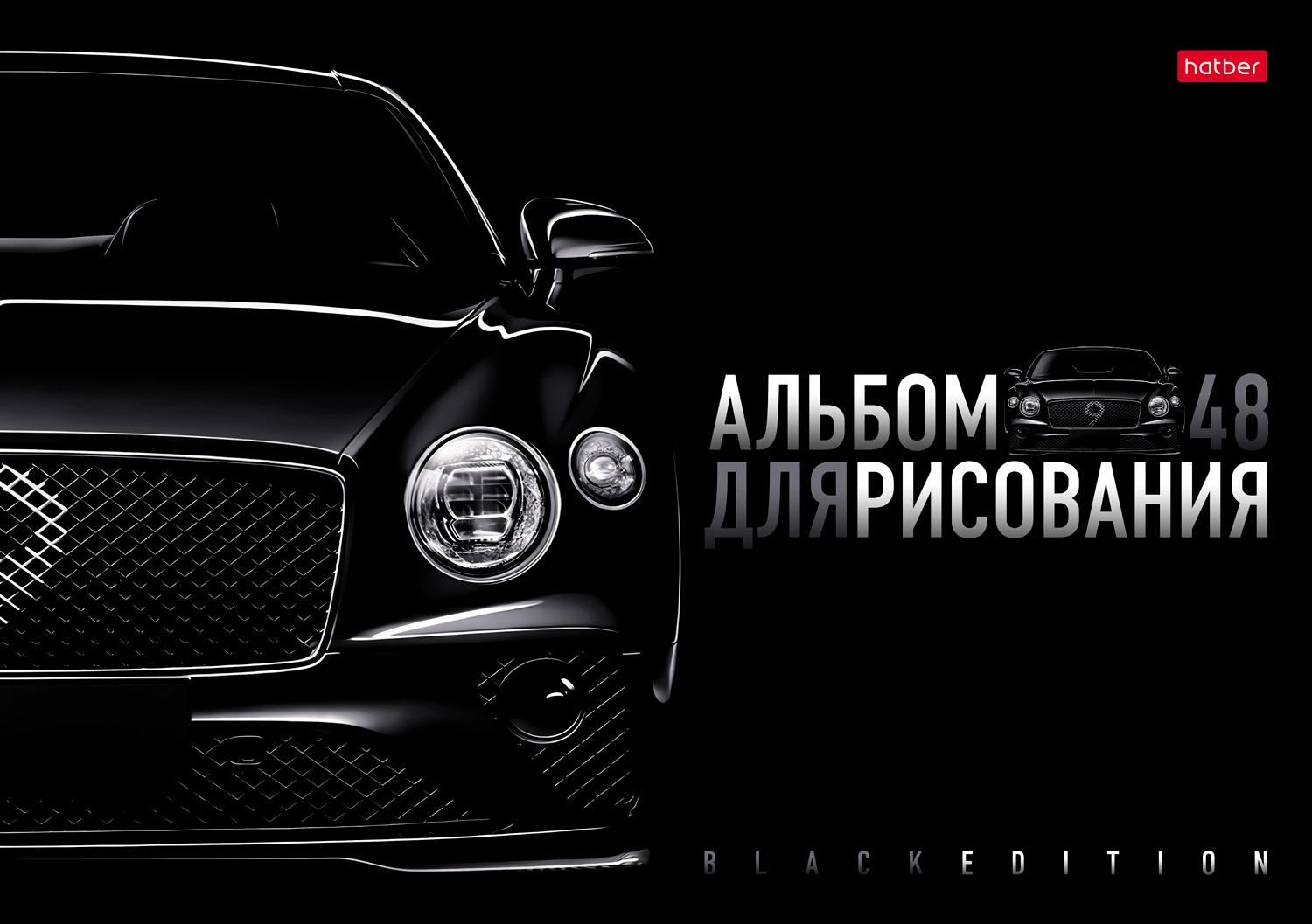 Альбом Hatber Black Edition А4 48 лист. 1 шт. - фото 4