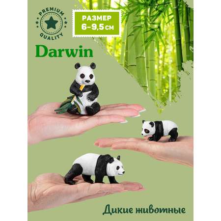 Фигурка DARWIN Животные Семейство панд