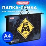 Папка с ручками Пифагор