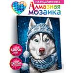 Алмазная мозаика KIKI Хаски