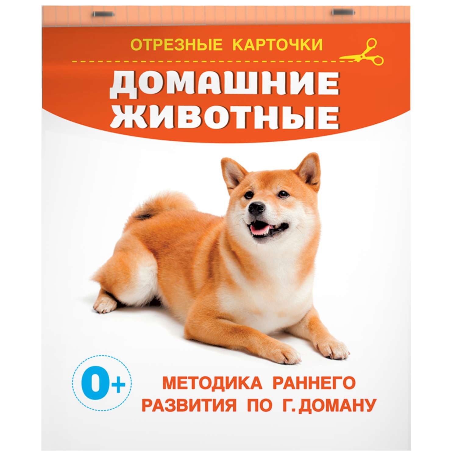 Книга карточки для малышей Домашние животные - фото 1