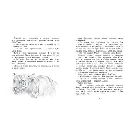 Книга Махаон История Маугли