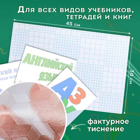 Обложка Пифагор 45 x 30 см 10 шт.